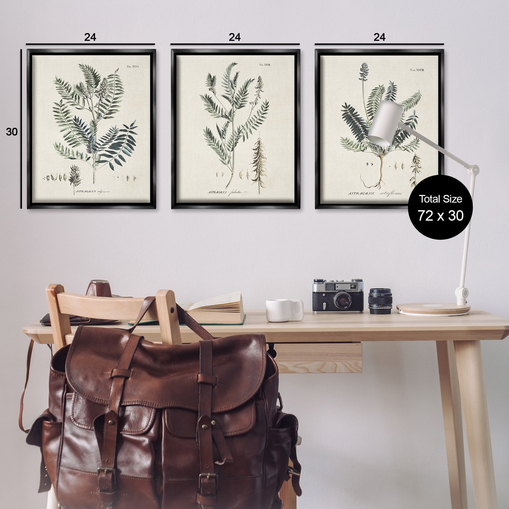 Stupell Industries Green Botanical Latin Study Botanical & Floral Drawing Black Floater Framed Canvas Art Print Wall Art, 25 x 31, Set of 3