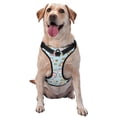 thumbnail image 1 of Saiise Rabbit Burger Coffee Print Dog Harness and Leash Set, No Pull Soft Mesh Pet Harness, Reflective Adjustable Puppy Vest for Small Medium Large Dogs, Cats-Small, 1 of 6