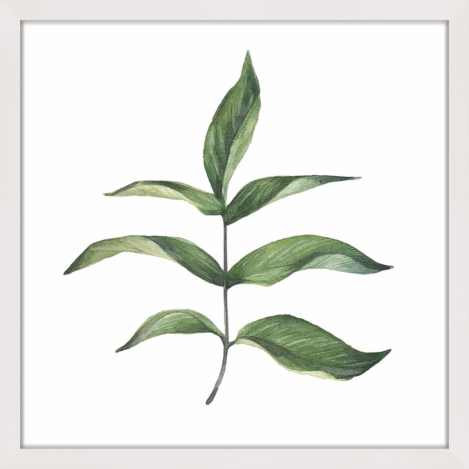 Marmont Hill "Top Leaf III" by Shayna Pitch Framed Painting Print