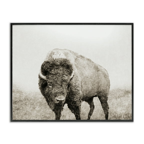 Stupell Industries Bison Distressed Portrait Animals & Insects Photography Black Framed Art Print Wall Art, 14 x 11