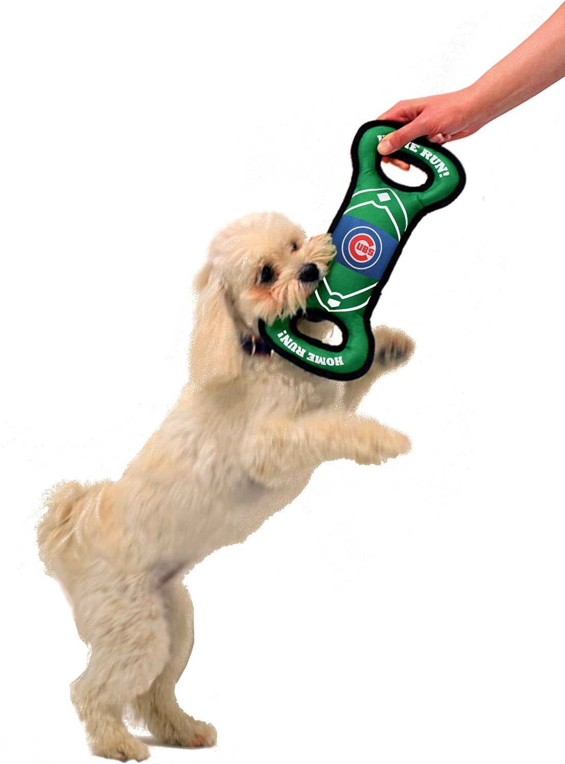 Pets First MLB Chicago Cubs Dogs & Cats Durable and Heavy Duty Nylon Field Toy