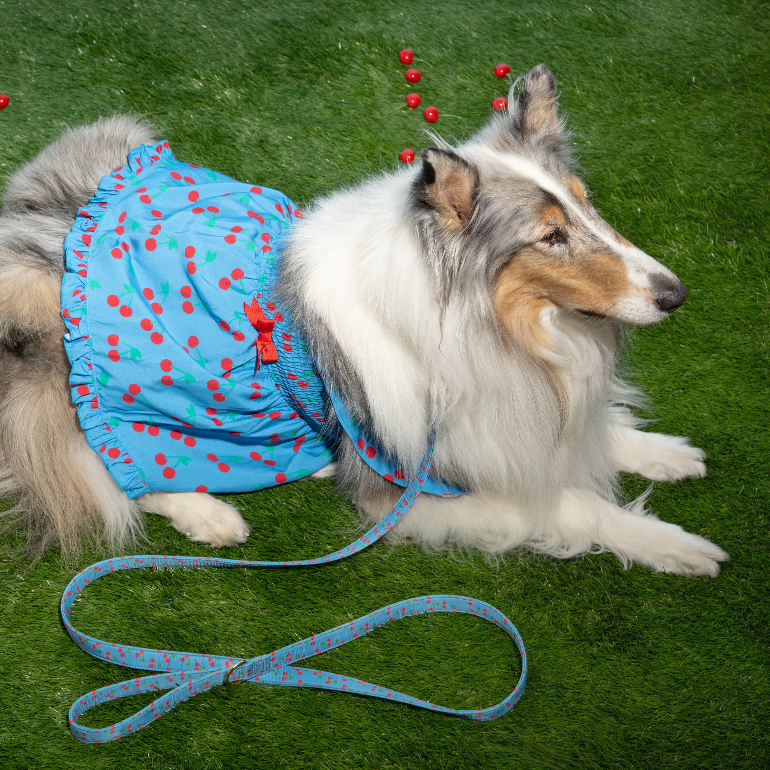 Oodles Blue Tart Cherries Spring Ruffled Dog Dress, XS