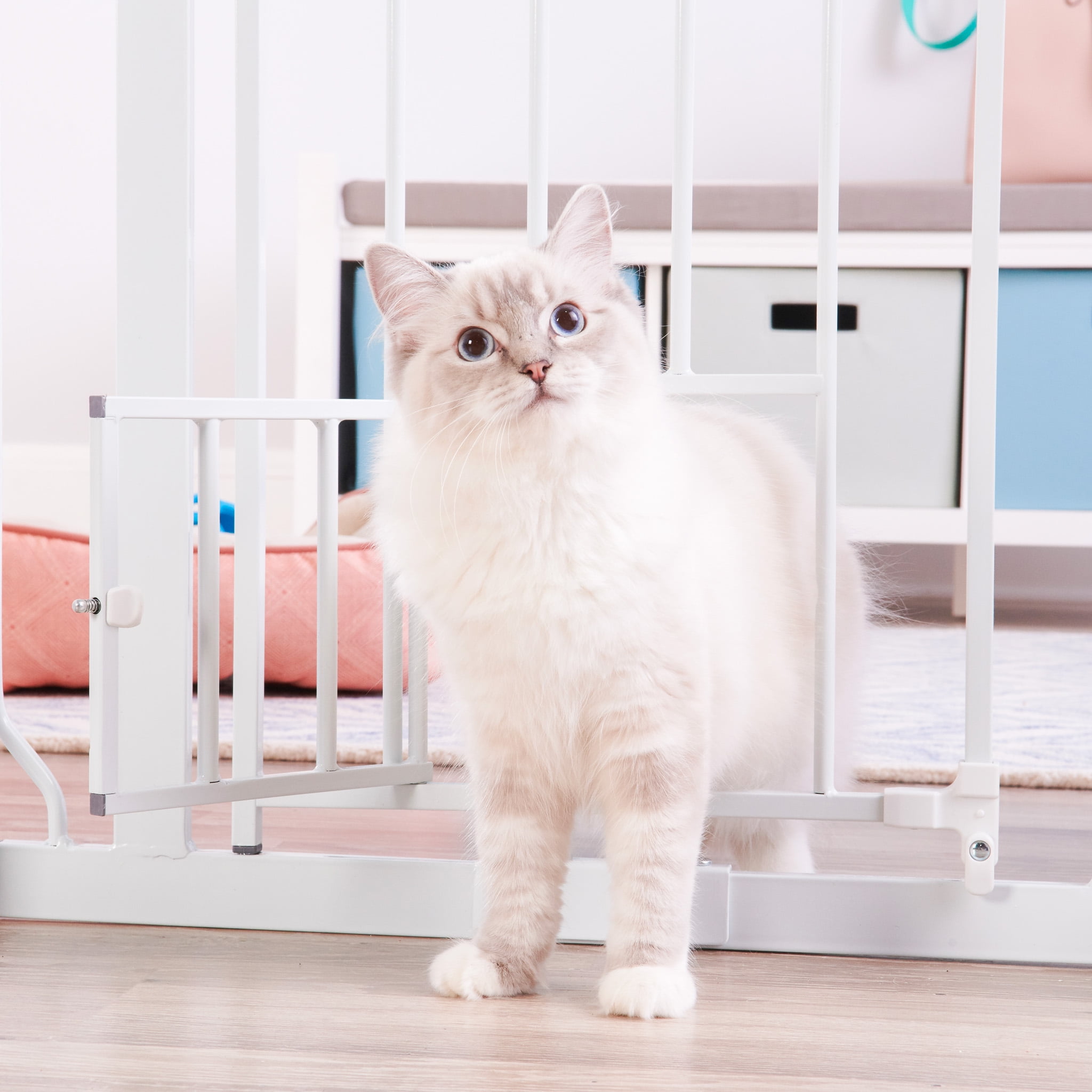 Carlson Pet Products Metal Dog Gate with Walk-Through and Additional Small Door, 31" Tall, White