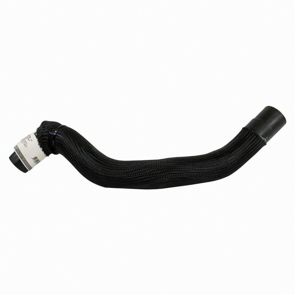 Motorcraft HOSE - RADIATOR (P)
