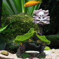 thumbnail image 5 of Casa de decoración de acuario, casa de escondite hueca de resina, troncos de peces Betta, accesorios de madera flotante, adorno de cueva, tanque, escondite de peces pequeños con musgo, 5 of 5