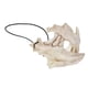 thumbnail image 5 of Máscara decorativa para cosplay, máscara de Halloween, máscara aterradora de látex, máscara de Halloween, rendimiento confiable, 5 of 14