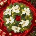 thumbnail image 3 of Ataucjin 24 Inch Pre-Lit Artificial Christmas Wreath, 50 Warm White LED Lights, Decorated with Frosted Pine, Pine Cones, Berry Clusters, Christmas Decorations, 3 of 7