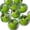 Green#01, variant on Simulation Apple Shape Squishy Fidget Toys for Adults Soft Tactile Sensory Gadget with Keychain Green and Red Realistic Fruit Office Desk Accessory 1.97 Inch 1 Pack