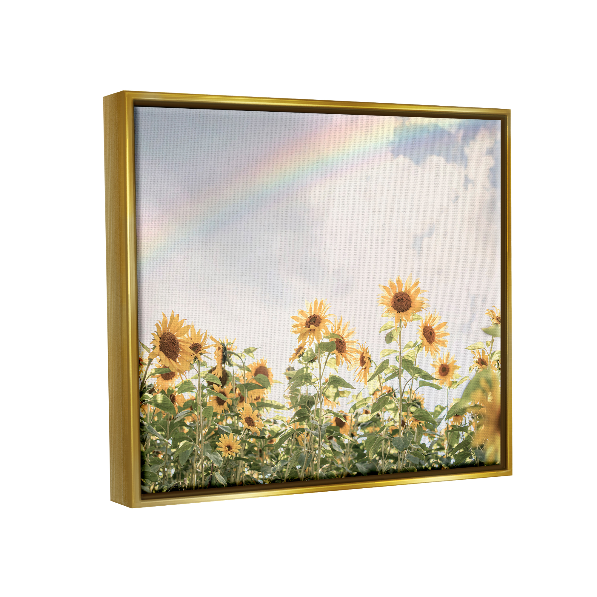 Stupell Industries Rainbow over Sunflowers Botanical & Floral Photography Gold Floater Framed Art Print Wall Art, 31 x 25