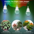 thumbnail image 6 of Alide E12 Candelabra Base LED Grow Light Bulb, Full Spectrum Indoor Plant Light Bulb, 12W, Pack of 3, 6 of 7