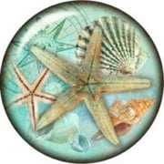 BODY ACCENTZ Snap Button Beach Starfish Shells 18mm Charm Chunk Interchangeable free tac pin