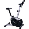 Everlast Upright Exercise Bike