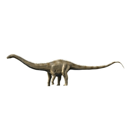 supersaurus is a sauropod