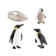 thumbnail image 4 of Figuras de animales Juguete Ciencia Animales de juguete Modelo de de pingüino para pequeños Materiales de Estilo B SM SunniMix Juego de crecimiento de animales, 4 of 8