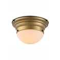thumbnail image 1 of Elegant Lighting Daisy 10" Flush Mount, 1 of 1