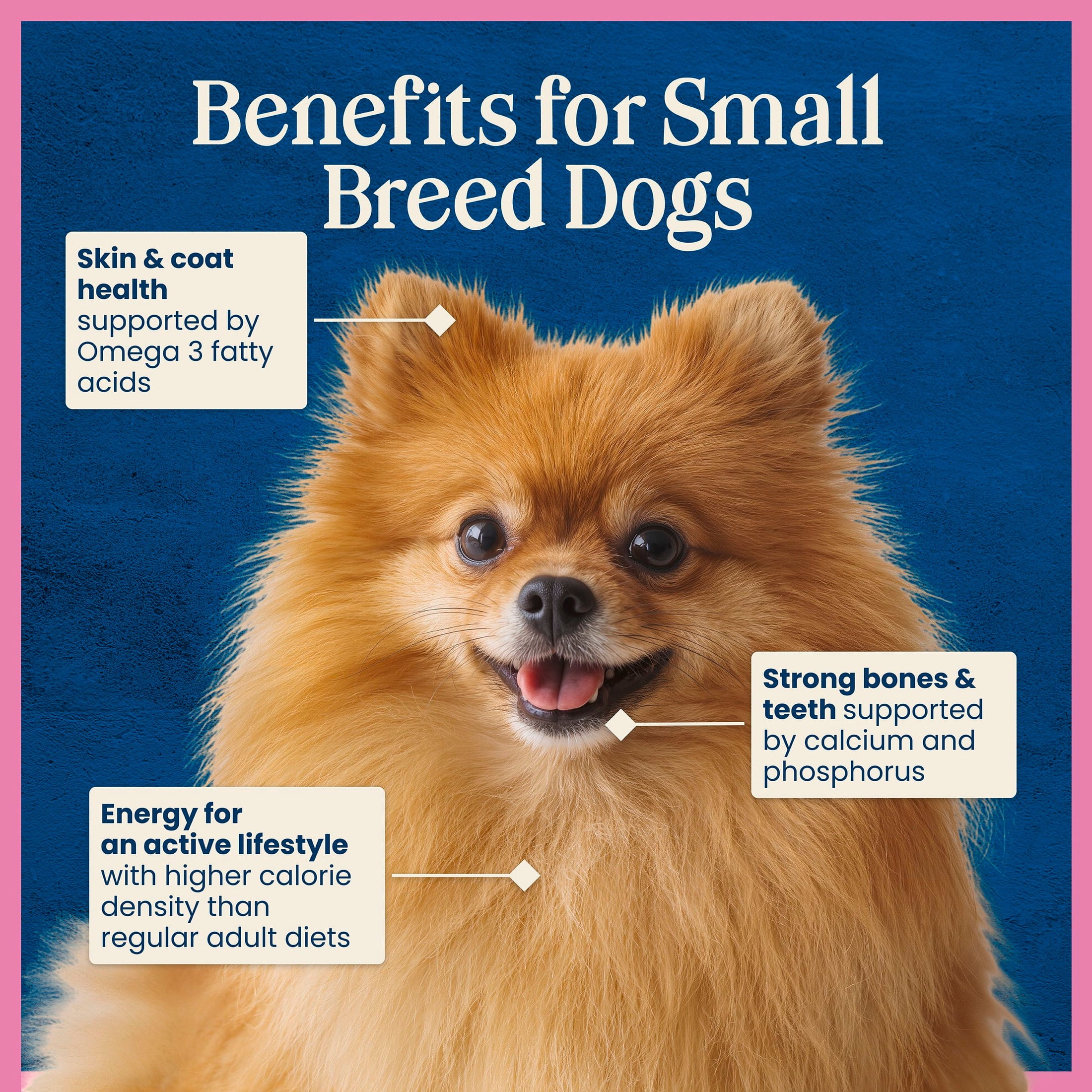 (3 pack) BLUE Love Made Fresh Small Breed Adult Refrigerated Dog Food, Chicken Meatball 1lb Pouch