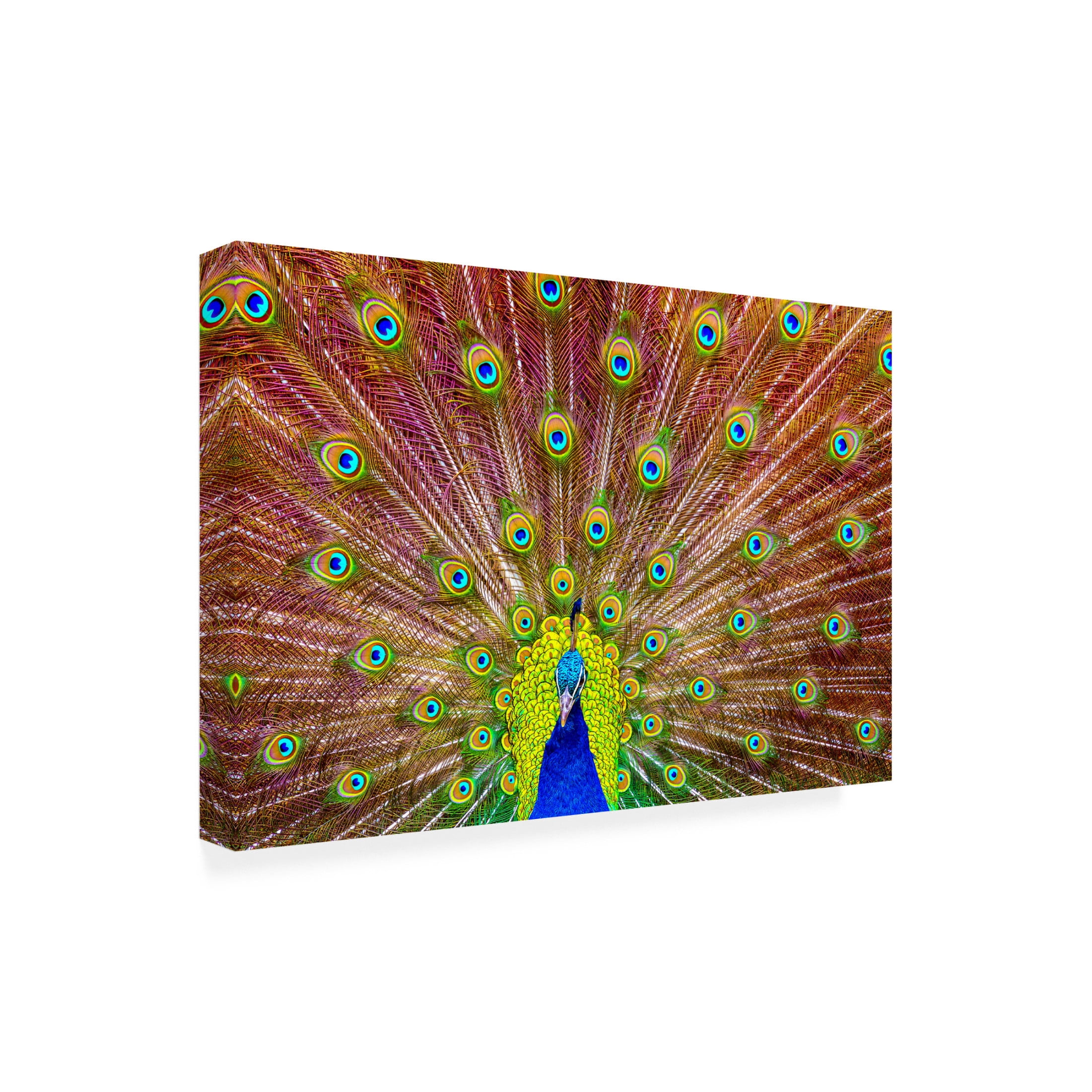 Trademark Fine Art Michael Peacock Canvas Wall Art