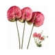 thumbnail image 4 of 3 Flores de Anturio Artificiales de 22.8 Pulgadas para DecoracióN del Hogar, Ramo y Hojas y DecoracióN de Boda Nupcial (Rosa), 4 of 5