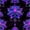 Multi Neon, variant on Erosebridal Purple Lotus Art Twin Quilt Set,Neon Flower Stars Twin Coverlet Set For Girls,2-Piece