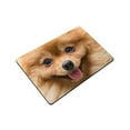 thumbnail image 3 of MKHERT Cute Puppy Pomeranian Dog Lovely Pets Doormat Rug Home Decor Floor Mat Bath Mat 23.6x15.7 inch, 3 of 3