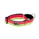 thumbnail image 2 of Collar de entrenamiento para perros RC Pets Martingale de 1,, 2 of 3