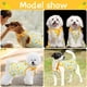 thumbnail image 4 of Conjunto de 4 piezas de ropa para mascotas, ropa encantadora para mascotas, ropa encantadora para perros con frutas y camisa para perros, camiseta transpirable para mascotas MFZFUKR BST3023394-3, 4 of 5
