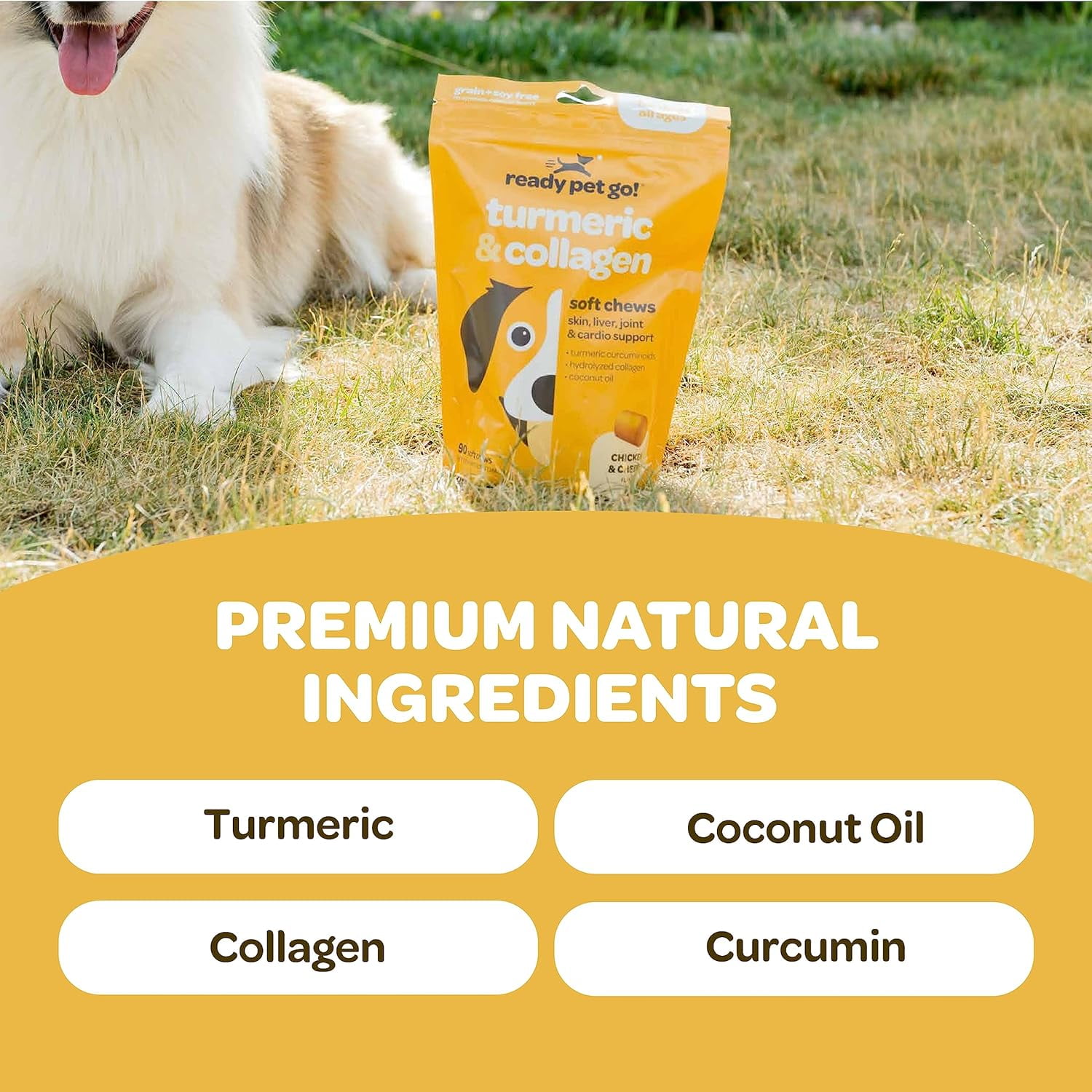 Ready Pet Go! Dog Treats, Turmeric Supplement & Collagen Chews for Dogs Hips and Joints, 90 Pc