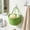 Green, variant on Cotton Rope Basket with , Favors Basket | Woven Gift Basket, Small Woven Handle Basket for Birthday, Baby Shower, Easter, Christmas, Home Decor