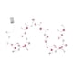 thumbnail image 5 of Guirnalda de luces de corazón con 20 luces LED románticas en forma de corazón, decoración de Valentín para repisa de interior., 5 of 9