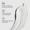 thumbnail image 4 of The Ordinary Natural Moisturizing Factors + PhytoCeramides, Crema Hidratante con Fitoceramidas— Hidratante para piel seca que protege la barrera cutánea, 100ml, 4 of 5