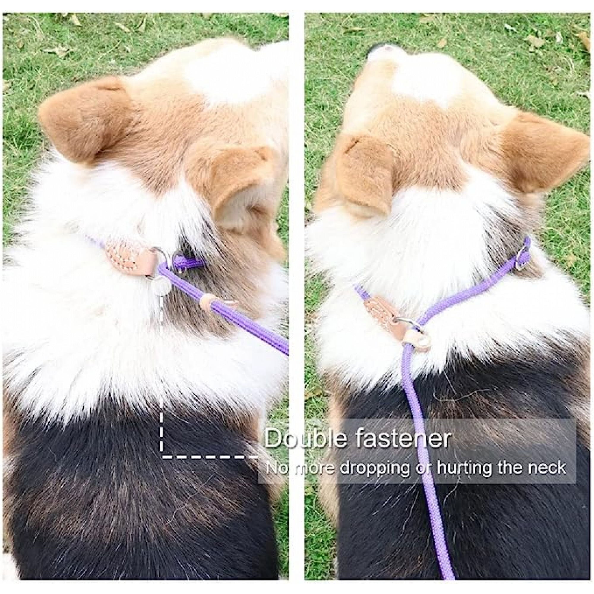 Dog leash accessories deals
