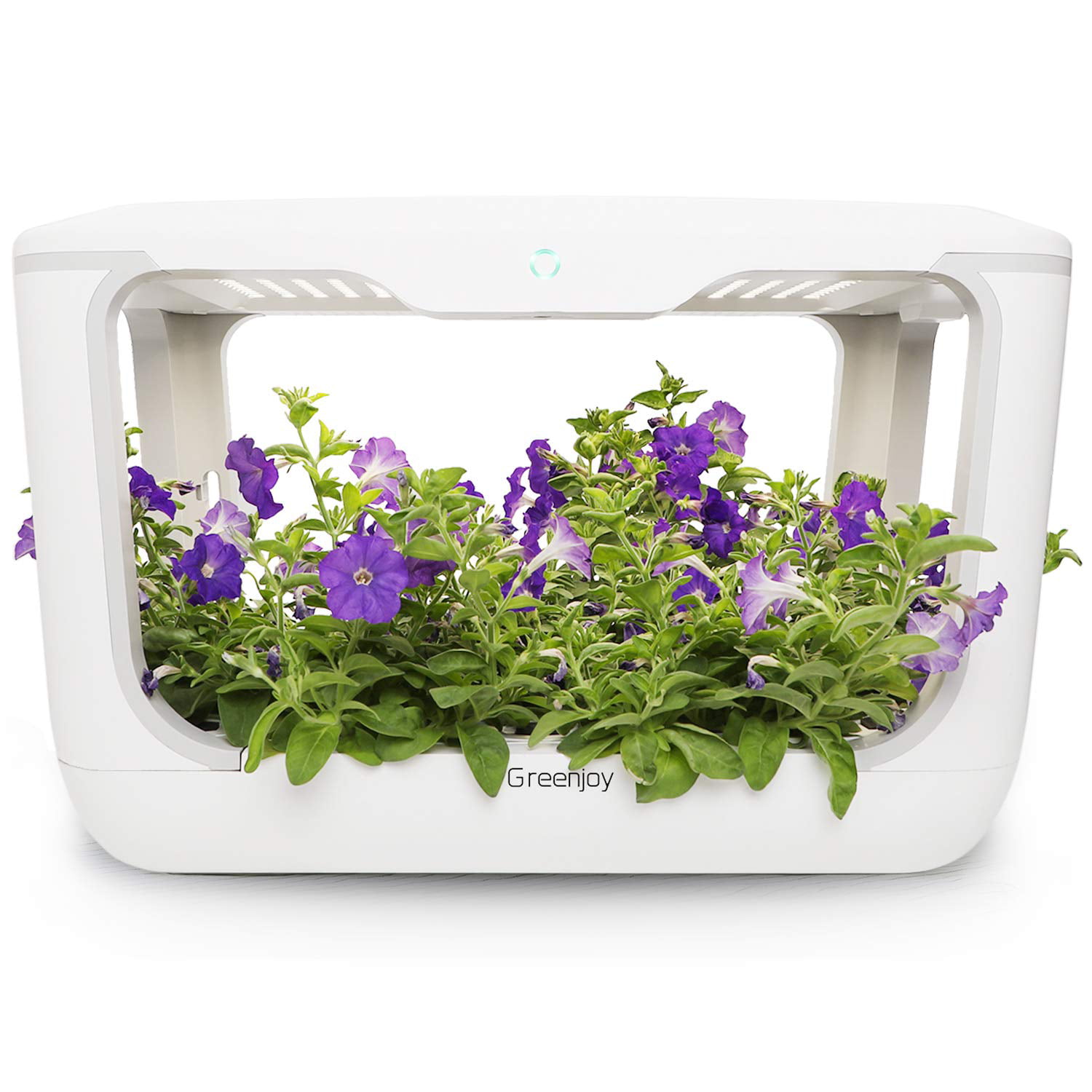 Greenjoy Indoor Herb Garden Kit, Hydroponics Growing System, Plant ...