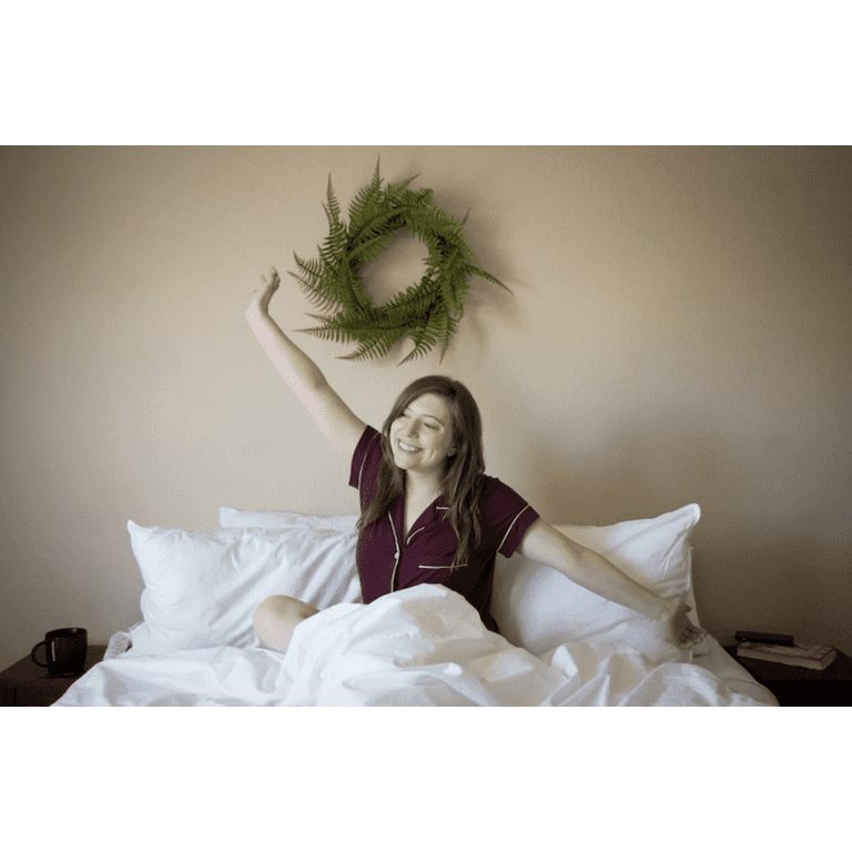 Pillowtex Down Alternative Body Pillow 20 x 60