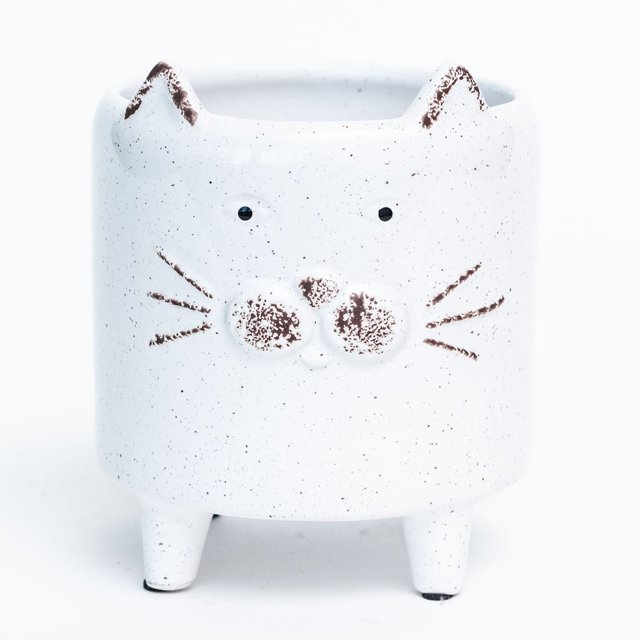 Ensemble de 6 Jardinières à Pieds pour Chat Blanc Moucheté