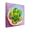 thumbnail image 4 of Trademark Fine Art Key and Sea Apples Canvas Wall Art, 4 of 4