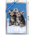 thumbnail image 3 of Keith Kimberlin - Kittens - Twins Wall Poster, 14.725" x 22.375", Framed, 3 of 3