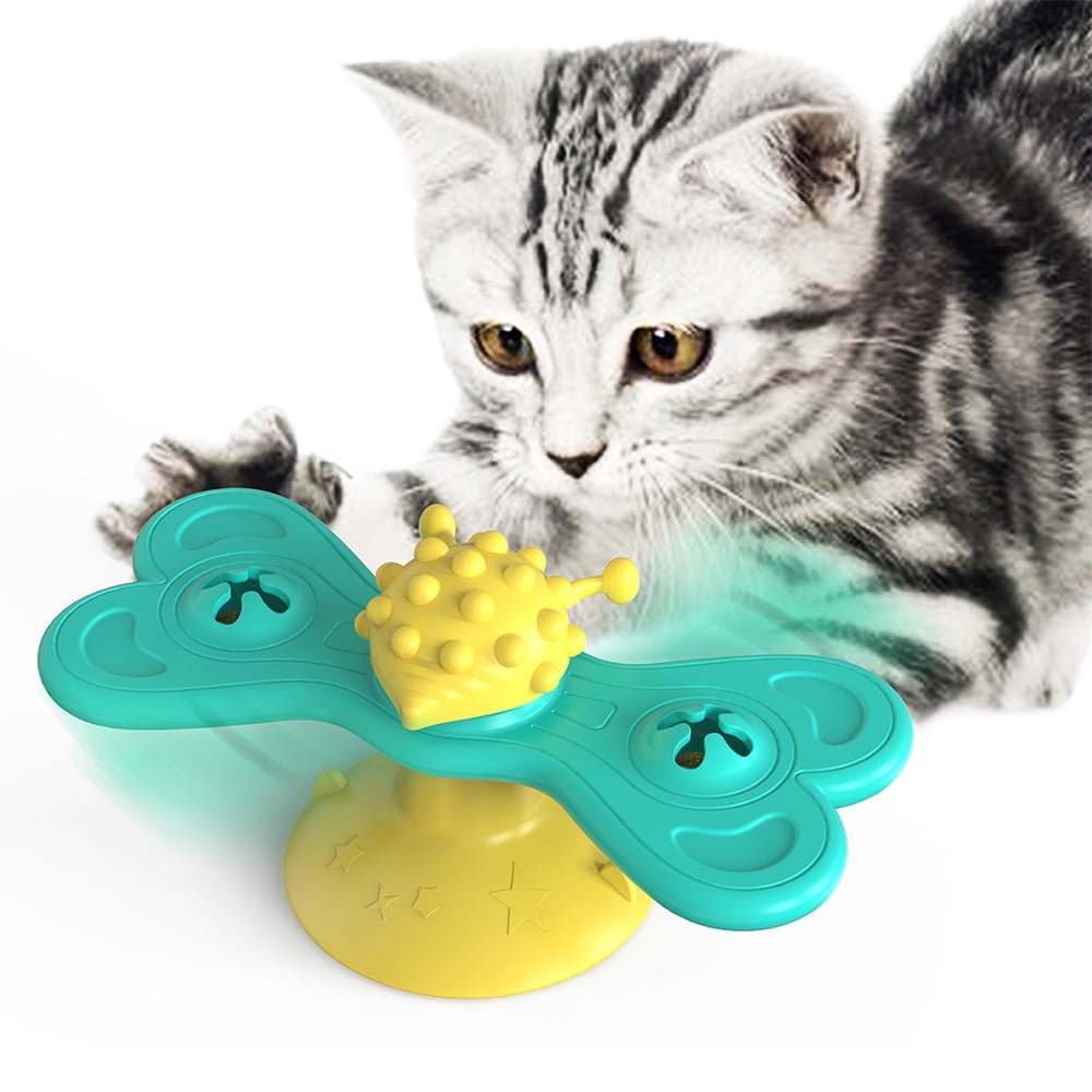 circular turntable cat toy