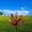 A, variant on SIfdSeng One Year Old Boy Toys Educational Wind for Gardens and Patios Large Metal Wind Sculpture ( ) for Outdoor Decoration Art Comes from Life Cool Toys for Teenagers Boys Cool Toys for Teens