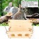 thumbnail image 1 of Alimentador De Heno De Conejo, Plegamiento De Animales Pequeños Marco De Césped De Hierba De Conejo Marco De Comedero De Heno, Estante De Heno Otros Animales Pequeños Para, 1 of 7