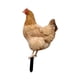 thumbnail image 1 of Estatua de pollo para jardín, estacas de acrílico, figuras decorativas para jardín. Estilo B, 1 of 9