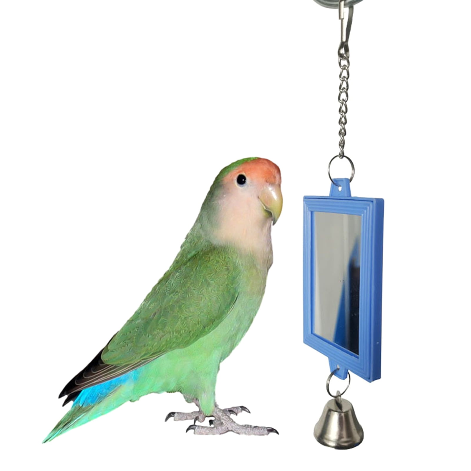 Bird top mirror toy