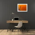 thumbnail image 3 of Grayscale 24x19 White Modern Wood Framed Museum Art Print Titled - Orange Furry I, 3 of 4