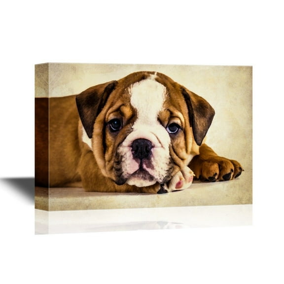 wall26 Dogs Breeds Canvas Wall Art - English Bulldog Puppy - Gallery Wrap Pet Art for Modern Home Art | Ready to Hang - 12x18 inches