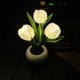 thumbnail image 5 of Luz de noche Flores artificiales Lámpara de flores Luz LED para adultos en el hogar al aire libre tulipanes blancos Zulema Luz de noche, 5 of 8