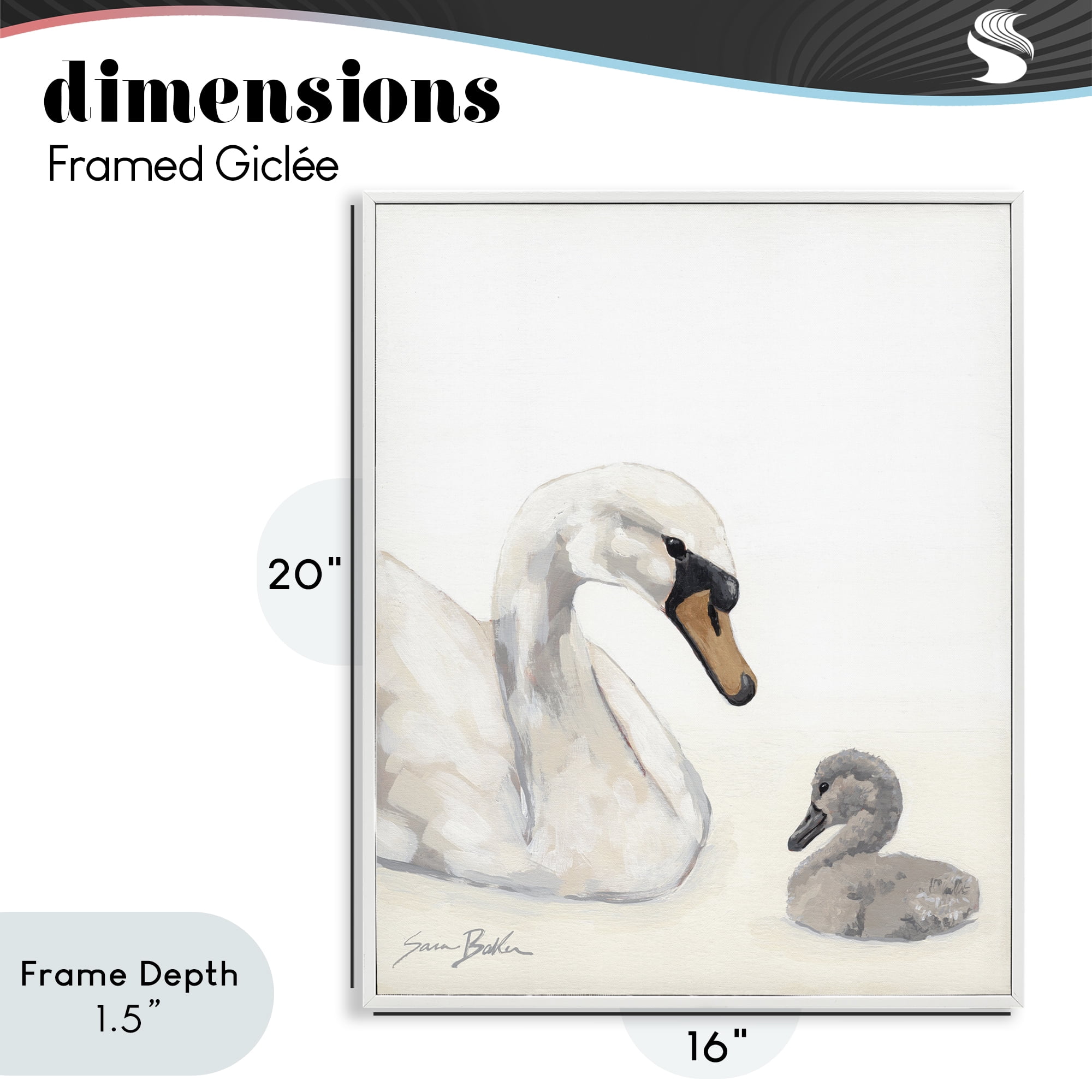 Stupell Industries Mother Swan & Cygnet White Framed Giclee Art, design by Sara Baker