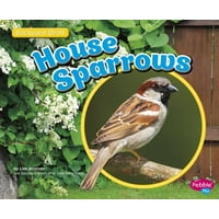 House Sparrows