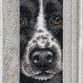 thumbnail image 4 of Dimensions® Peeking Pups Counted Cross-Stitch Kit, 4 of 6