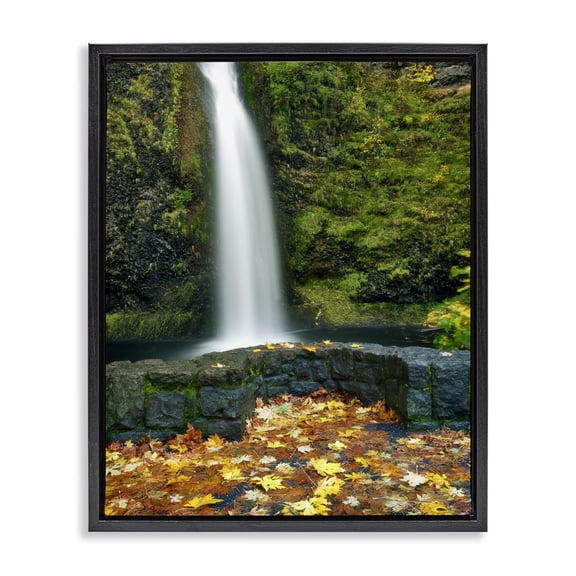 Stupell Industries Farmhouse Waterfall Foliage Photography Black Floating Frame Canvas Art, 17 x 21, by Dennis Frates