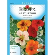 Burpee-Nasturtium, Alaska Mix Seed Packets