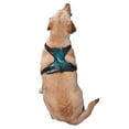 thumbnail image 2 of Naloa Airplane Shark Pet Harness Vest with Traction Rope, Adjustable No-Choke Dog Vest for Outdoor, Walking - Small, 2 of 4